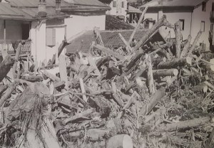 Tronchi alluvione Caprile