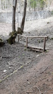 il pontile lungo il sentiero.